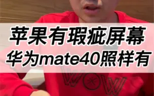 Скачать видео: 华为mate40pro屏幕瑕疵！能正常使用吗？