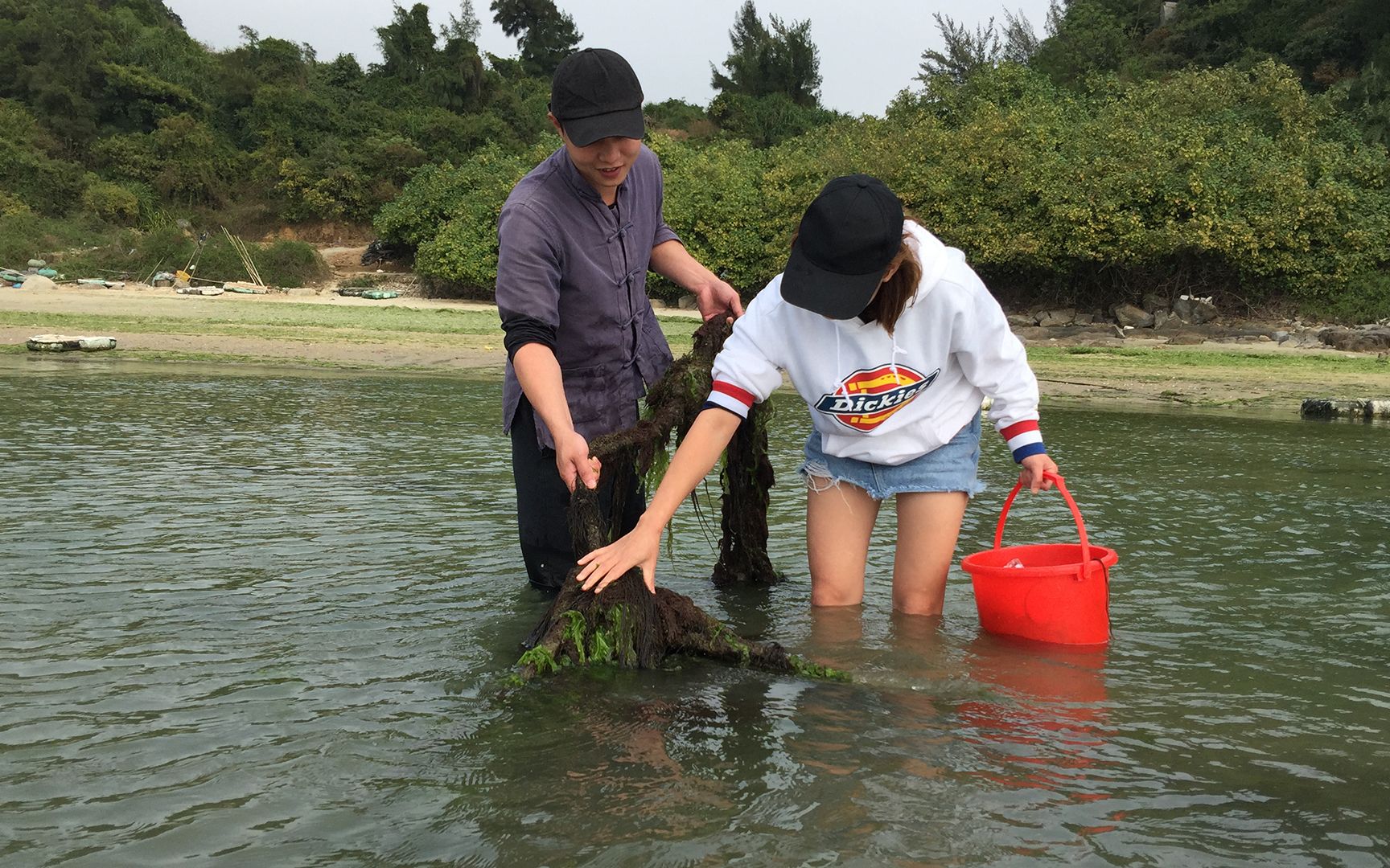 村大少带美女去赶海,发现全是稀有宝贝,直接在海边上弄来吃好香