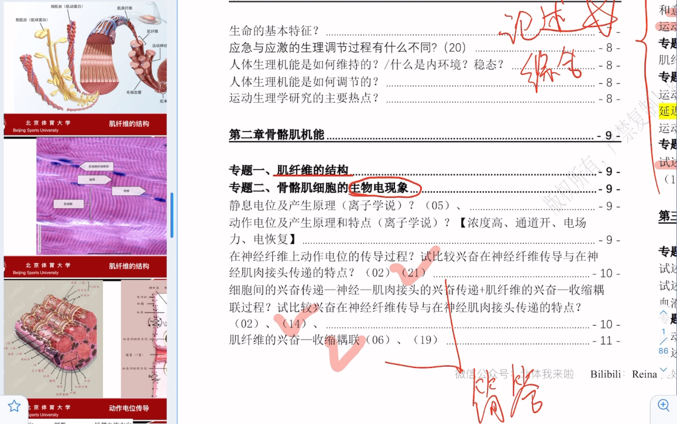 [图]【运动生理学】肌纤维的结构，骨骼肌细胞的生物电现象，配高清图片！