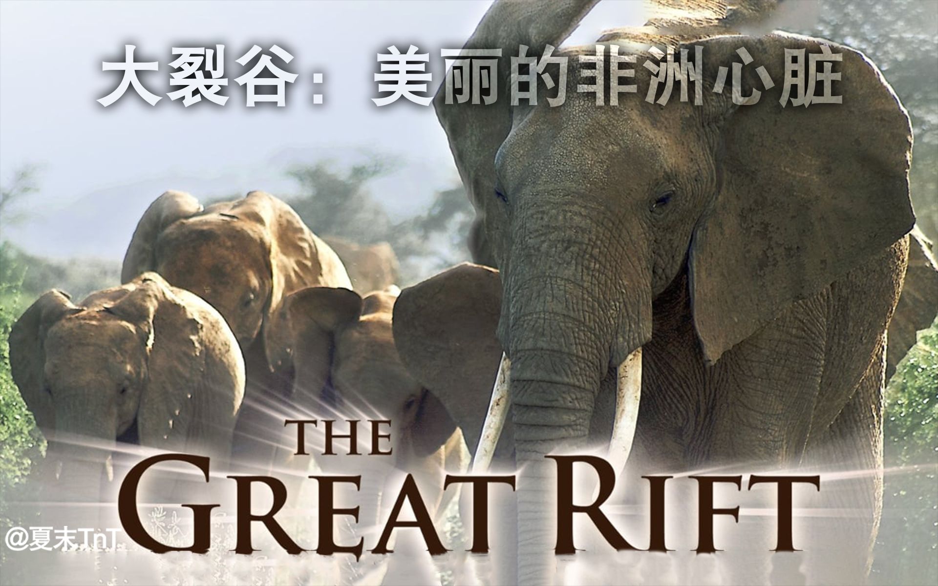 [图]大裂谷：美丽的非洲心脏 中文字幕 全3集 The Great Rift: Africa's Wild Heart