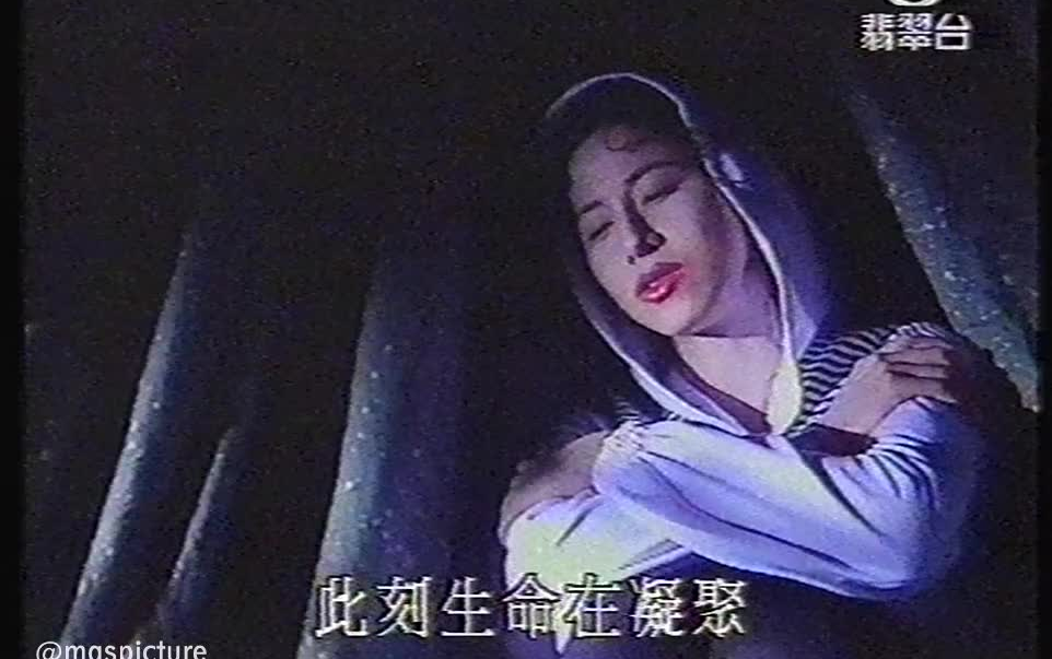 [图]袁凤瑛 - 天若有情 原版小字幕MV VHS 1080P 50FPS(全网独家)