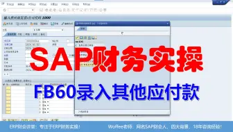 SAP财务实操《FB60录入其他应付款》@SAP快速入门