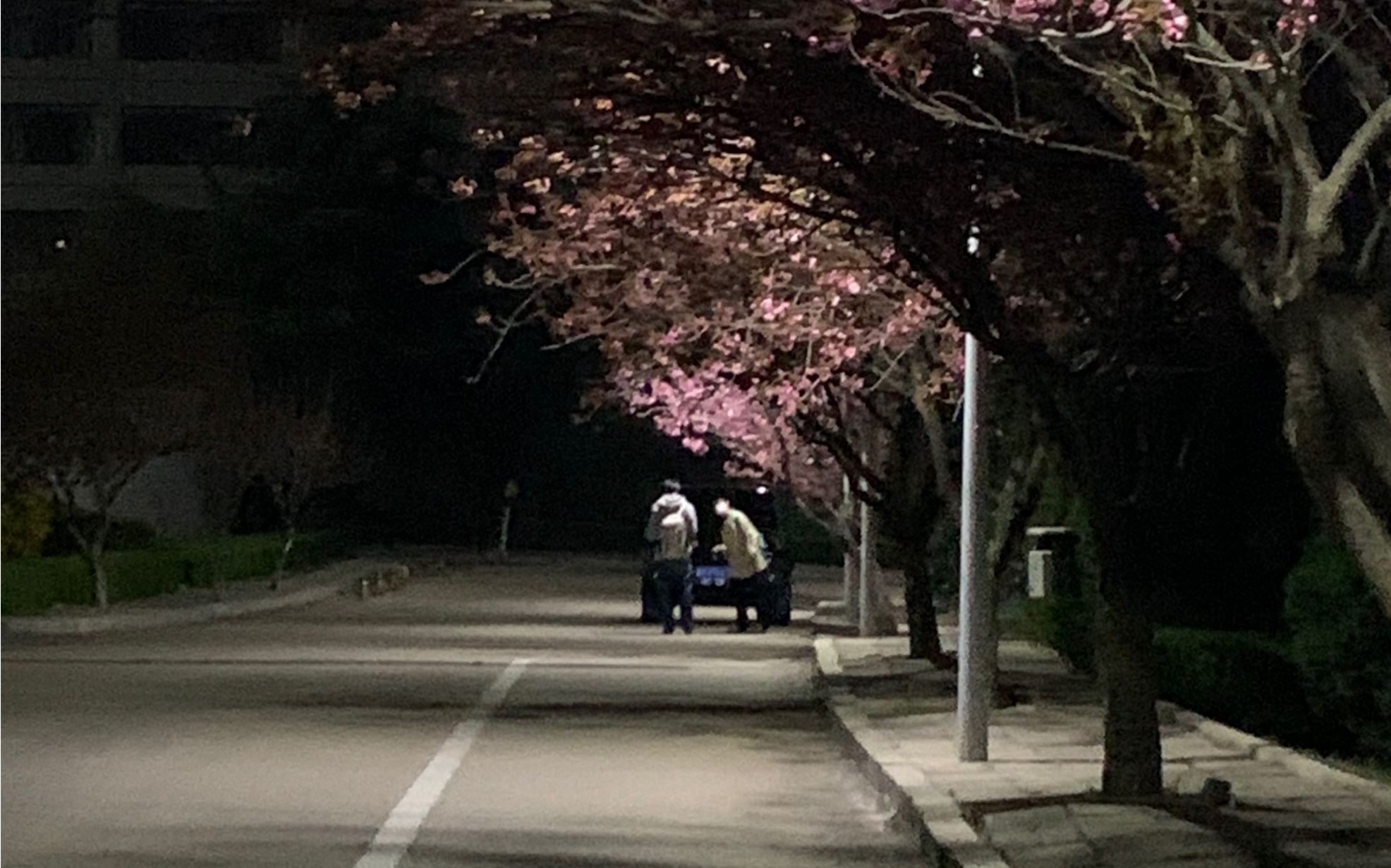 [图]这是最平凡的一天呀