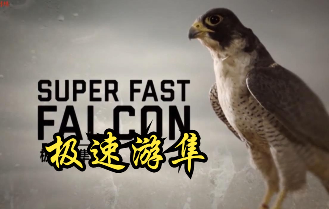 [图]【英国】【纪录片】极速游隼 Peregrine Falcon