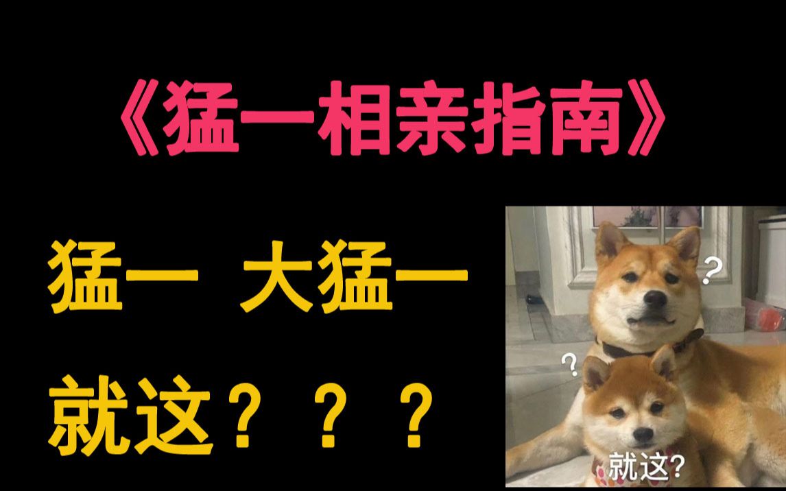 【推文】《猛一相亲指南》铁憨憨沙雕攻 x 温柔人妻受