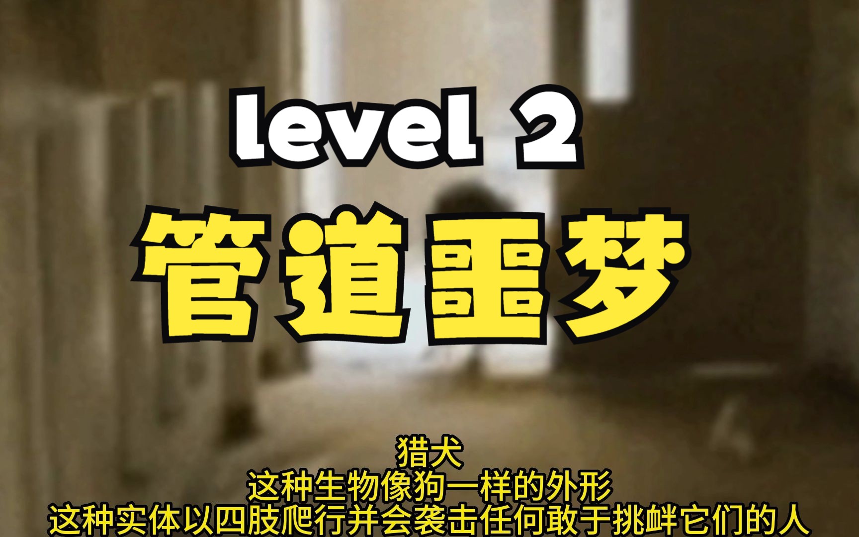 [图]【Backrooms 后室】level 2 管道噩梦【介绍】