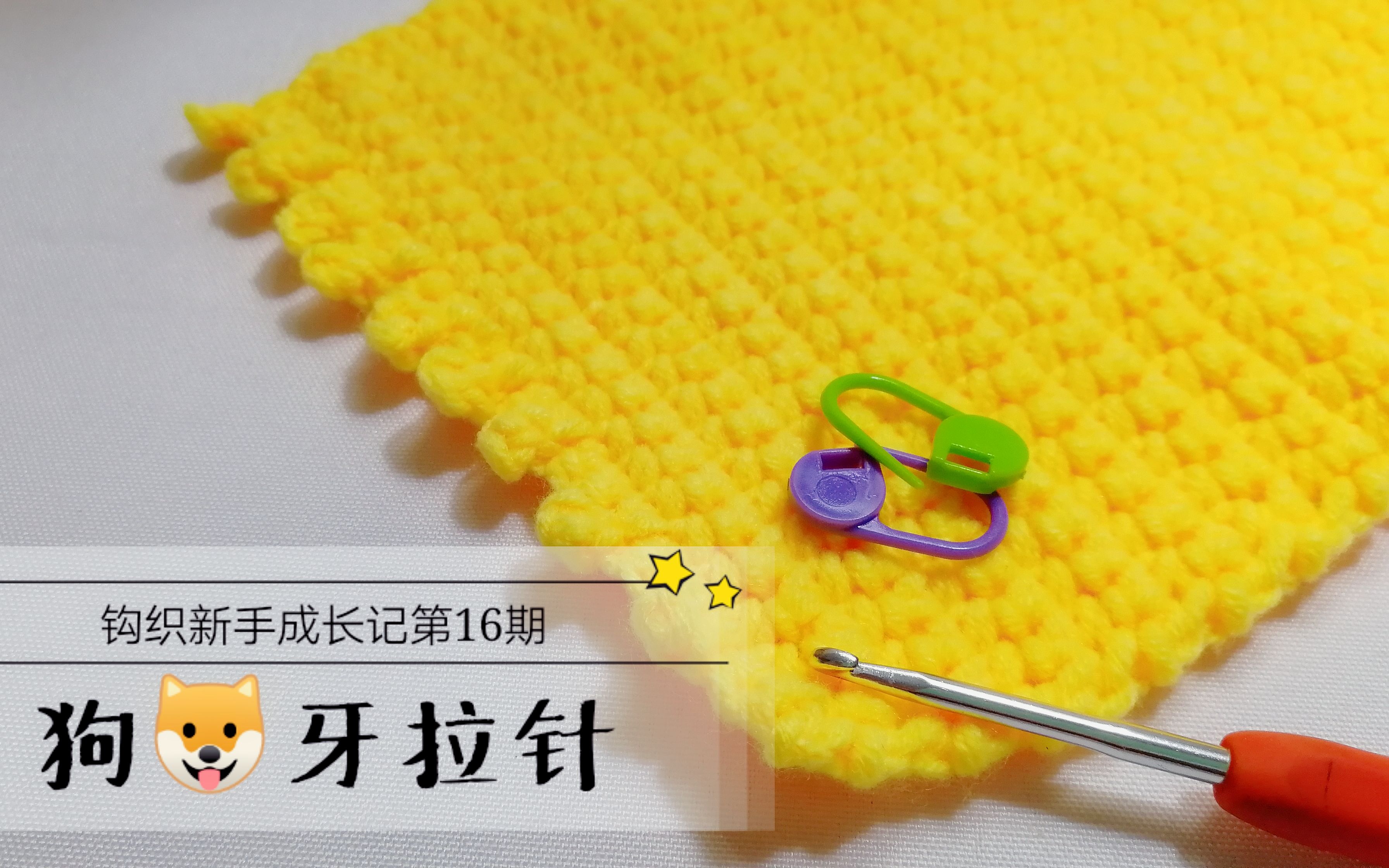 钩织新手成长记第16期:新花边的针法—狗牙拉针_哔哩哔哩 (゜-゜)つロ