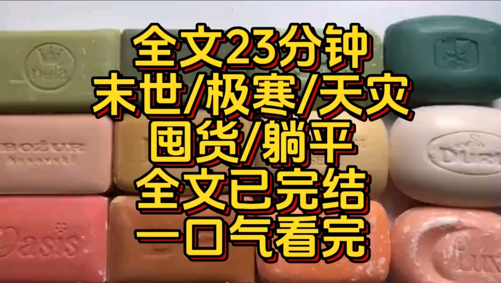 [图]【全文23分钟】末世/极寒/囤货/躺平/我躺在早已打造好的安全屋里不愁吃喝/一口气看完超过瘾