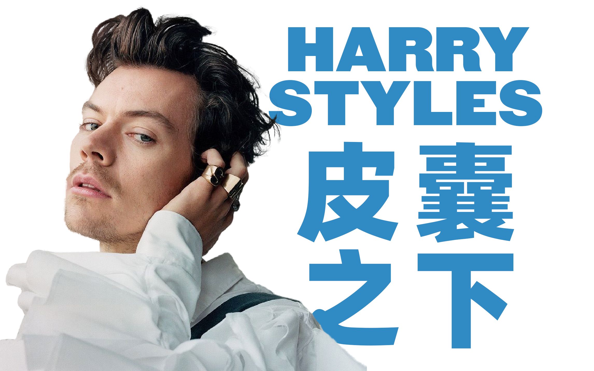 [图]「杰斯臭」Harry Styles / 皮囊之下