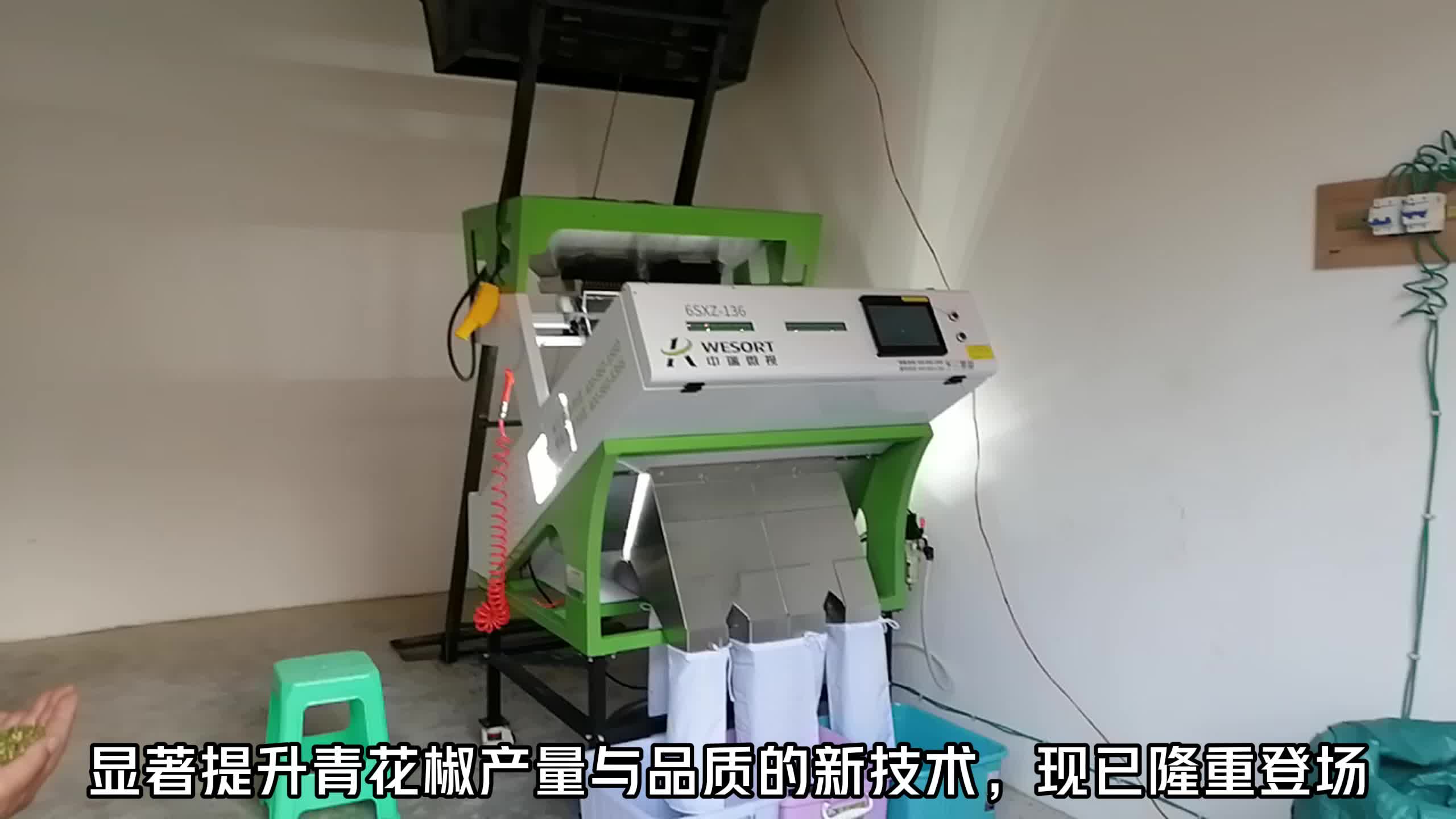 先进青花椒色选机:提升花椒品质