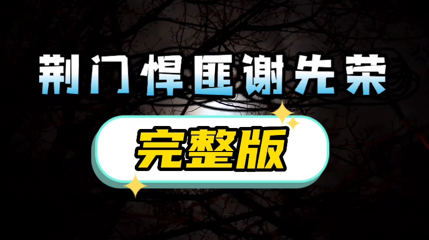 长篇大案故事:湖北第一悍匪谢先荣抢劫杀人案(完整版)哔哩哔哩bilibili