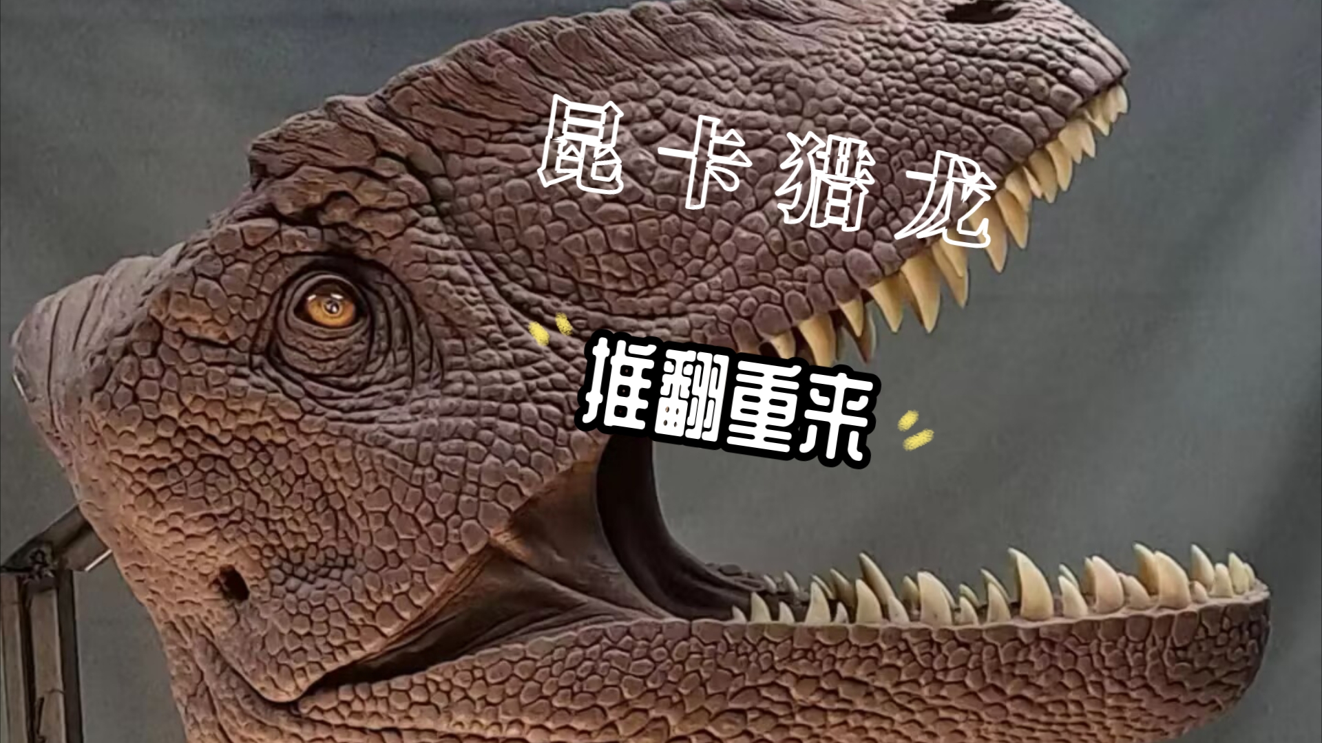 昆卡猎龙2.0制作(预告)