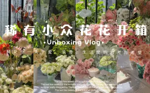 Download Video: 网购鲜花开箱Vlog78｜稀有小众花花开箱，总会有你喜欢的那一款~