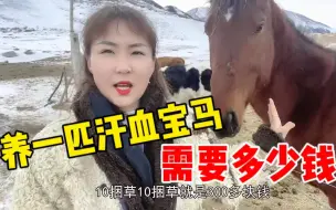 Скачать видео: 牧区姑娘最贵的汗血宝马：一个月要吃掉1000块，整个马群最宝贝的