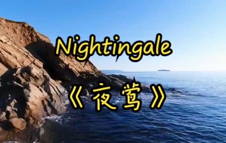 [图]纯音乐-Nightingale《夜莺》