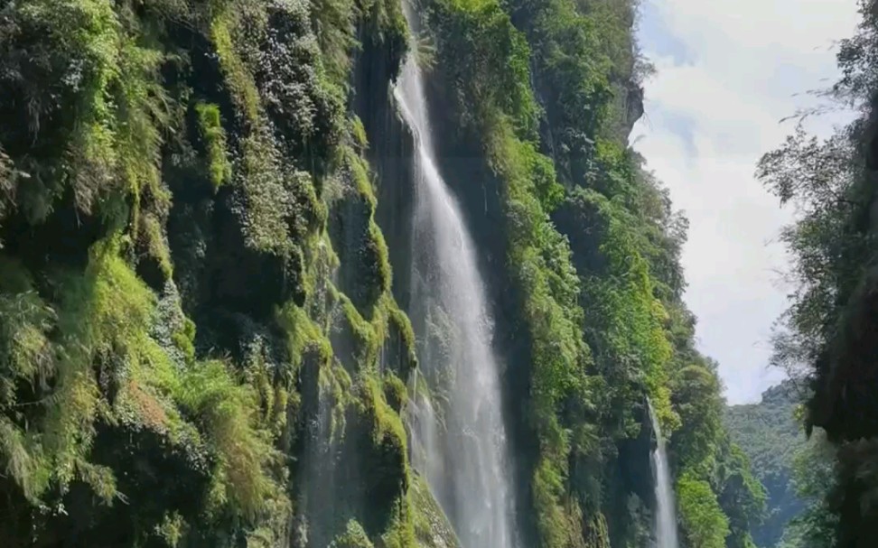 [图]不忘初心亲近自然 保持热爱奔赴山海