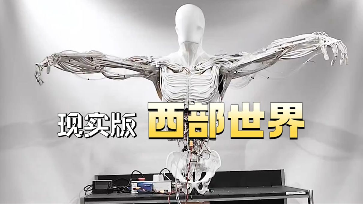 Clone Robotics公司做了一件什么事?哔哩哔哩bilibili