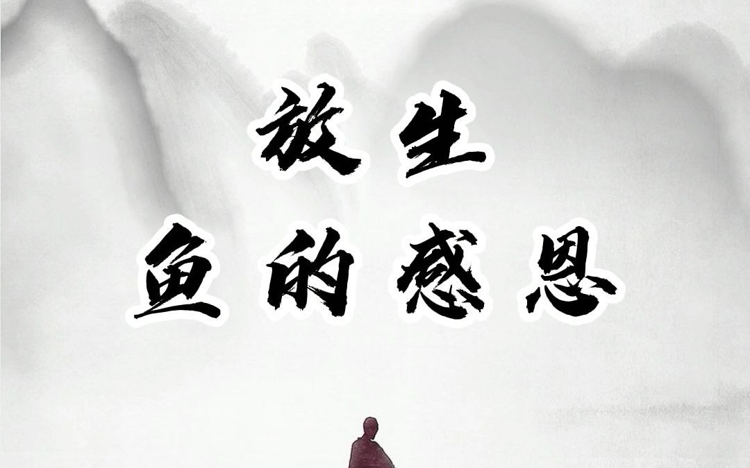 放生 鱼的感恩_哔哩哔哩_bilibili