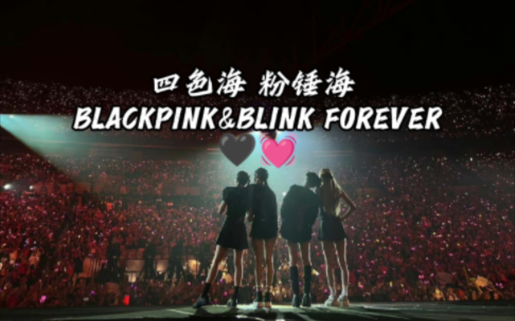 blackpink的粉锤海图片图片