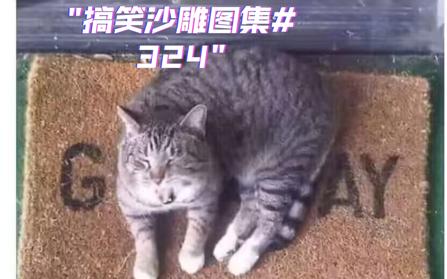 搞笑沙雕图集#324