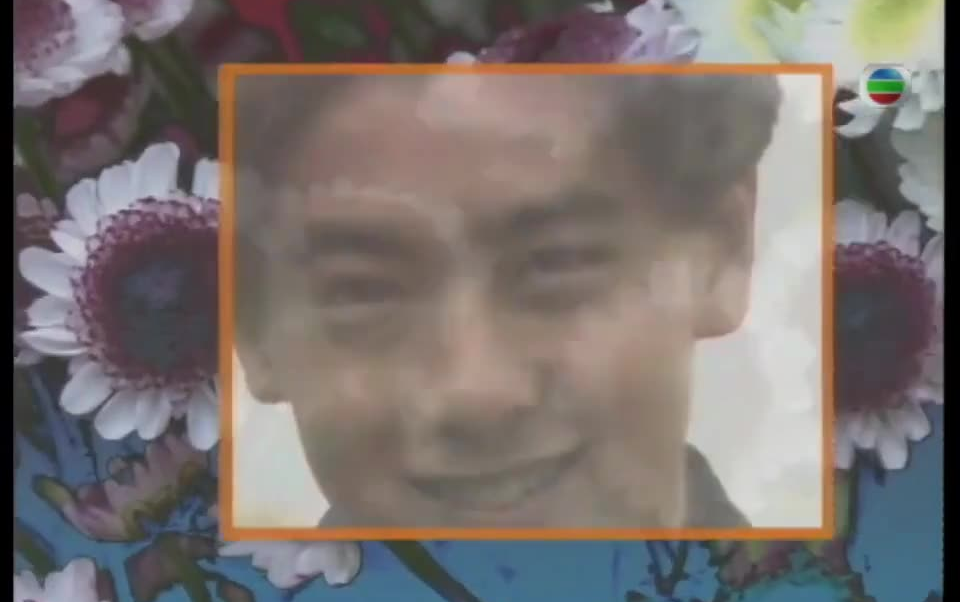 林志颖—野菊花 tvb原版mv