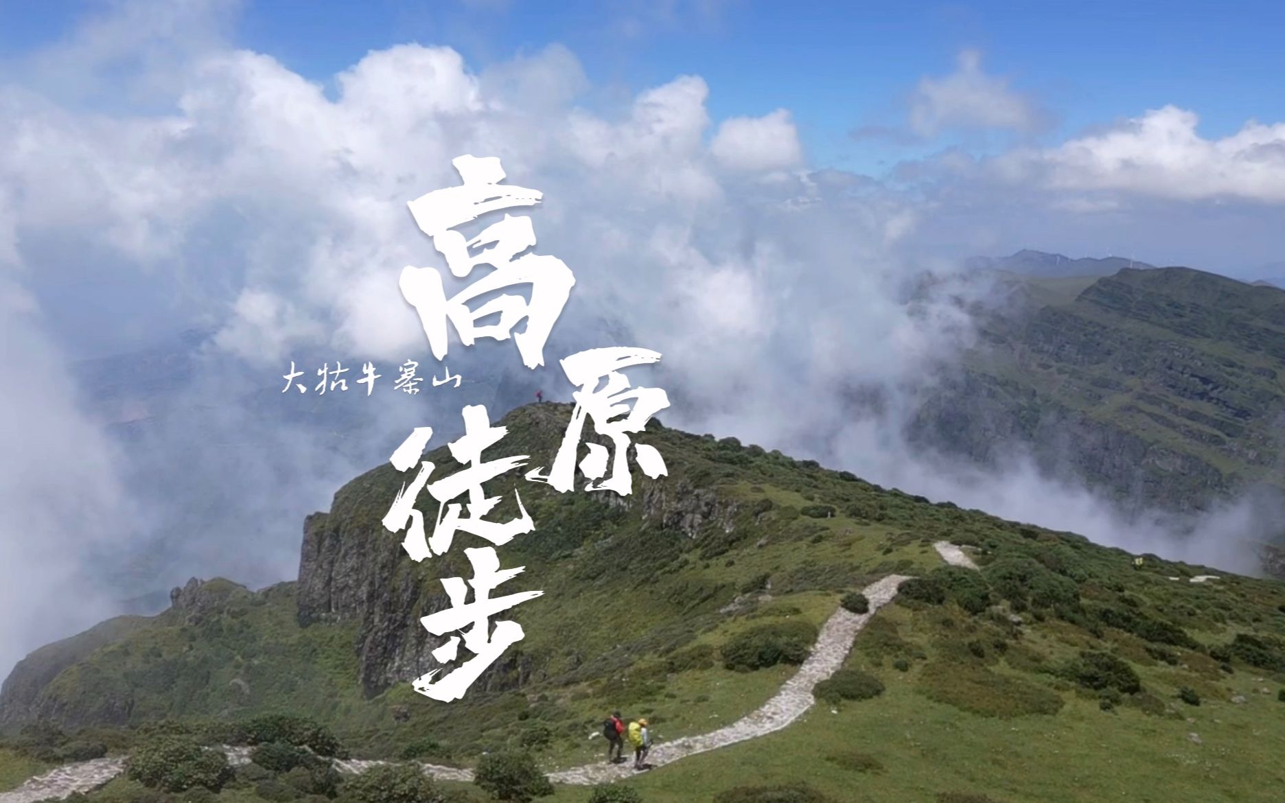 云南东川 高原上 白云边 大牯牛寨山 大海草原