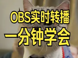 Video herunterladen: 一分钟教会你OBS跨平台转播别人直播间实时同步直播推流自动直播带货教程