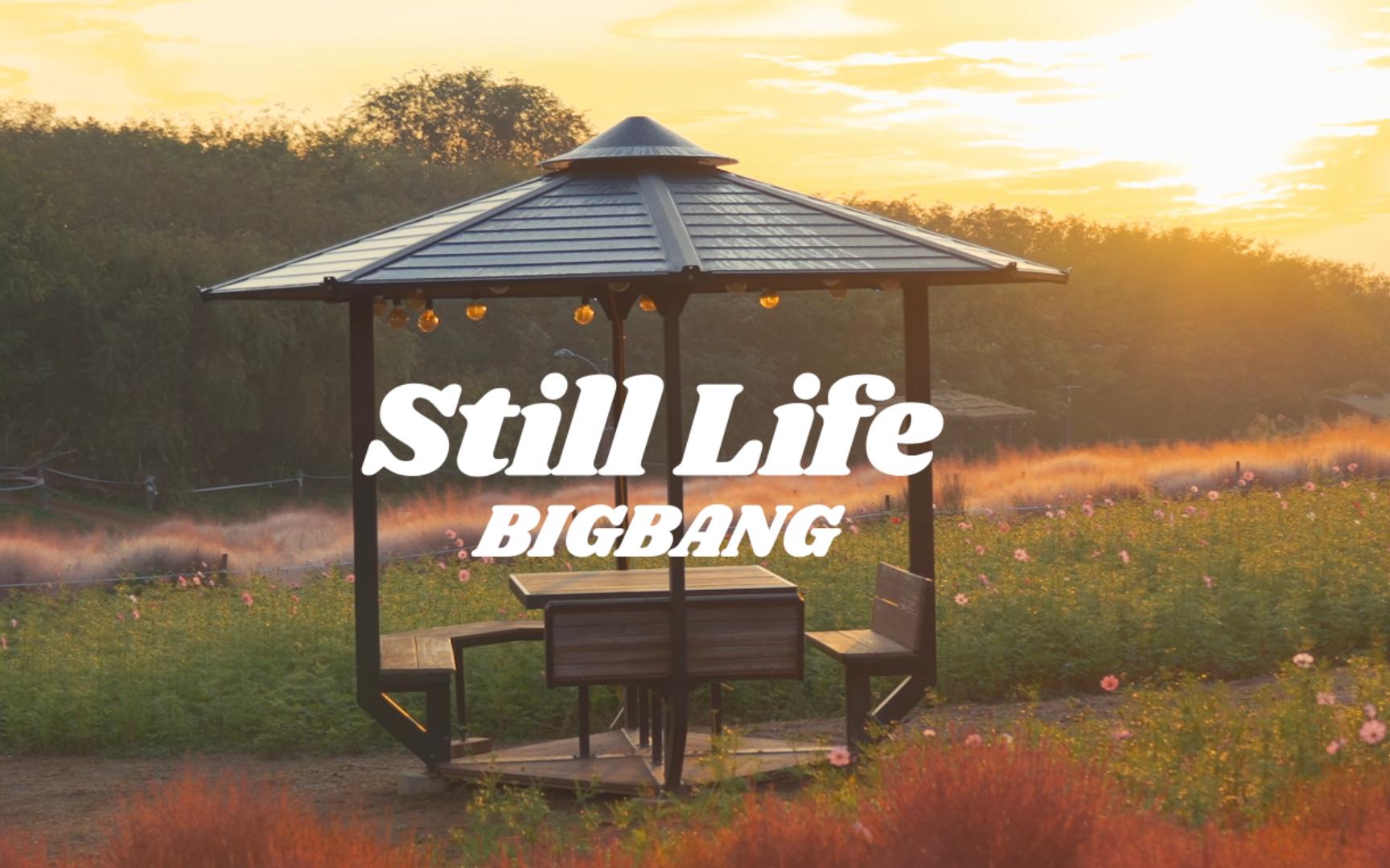 【BIGBANG】Still Life丨绝美日出公园的背景音乐丨双语字幕哔哩哔哩bilibili