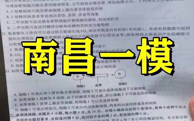 南昌一模暨NC20230607项目第一次模拟测试卷政治地理等科提前解析哔哩哔哩bilibili