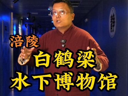 带你走进世界首座非潜水可到达的水下遗址博物馆——白鹤梁水下博物馆.#浙江人免费游涪陵# #浙里有涪# #重庆涪陵# #白鹤梁水下博物馆#哔哩哔哩bilibili