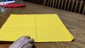 四种简单的口布折花 哔哩哔哩 つロ干杯 Bilibili