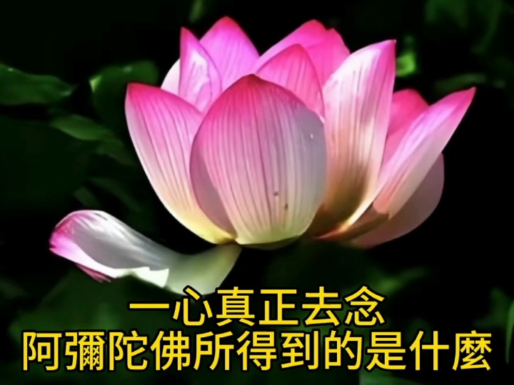 阿弥陀佛在心间