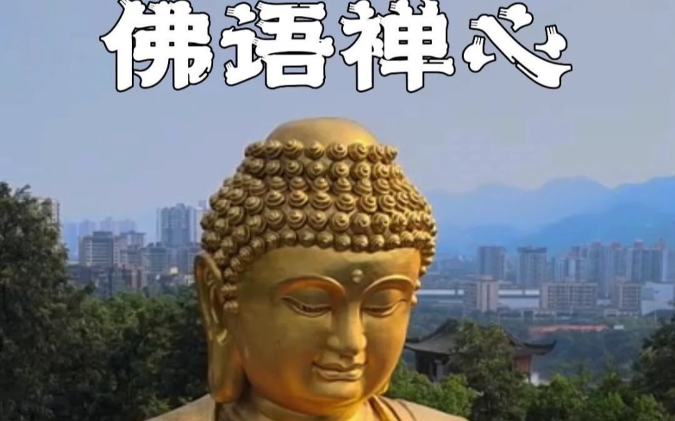 [图]人不一定信佛，但一定要有佛性，佛性讲就一个善字，禅心讲就一个淡字，做一个善良的人，心安便是归处！