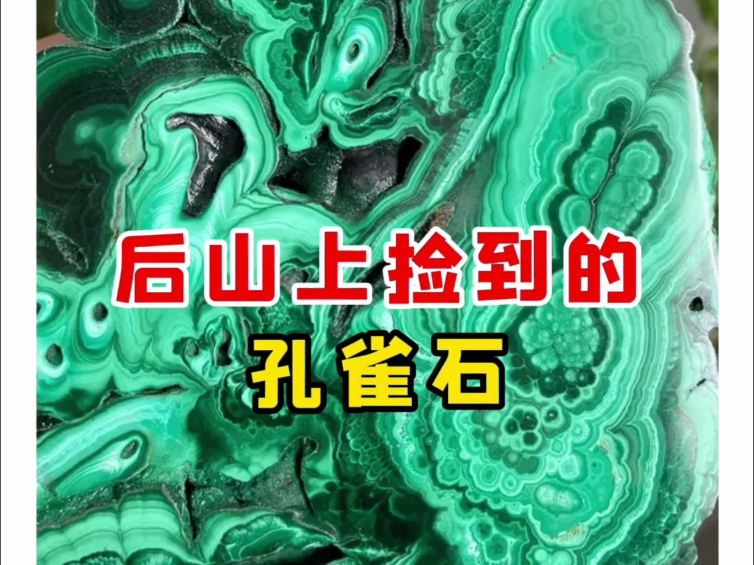 【微拍堂】后山上捡到的孔雀石哔哩哔哩bilibili