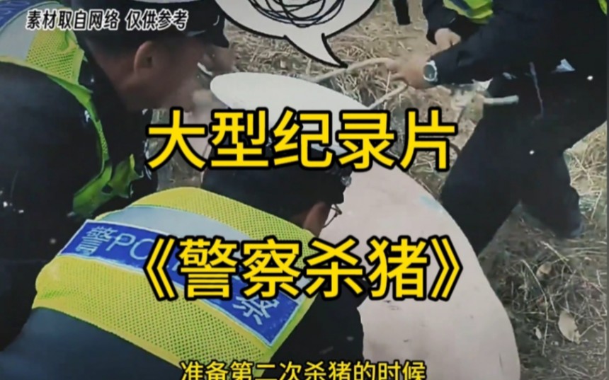 [图]大型纪录片《警察杀猪》