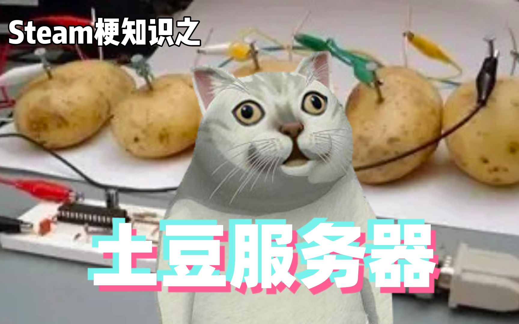 游戏梗知识:土豆服务器