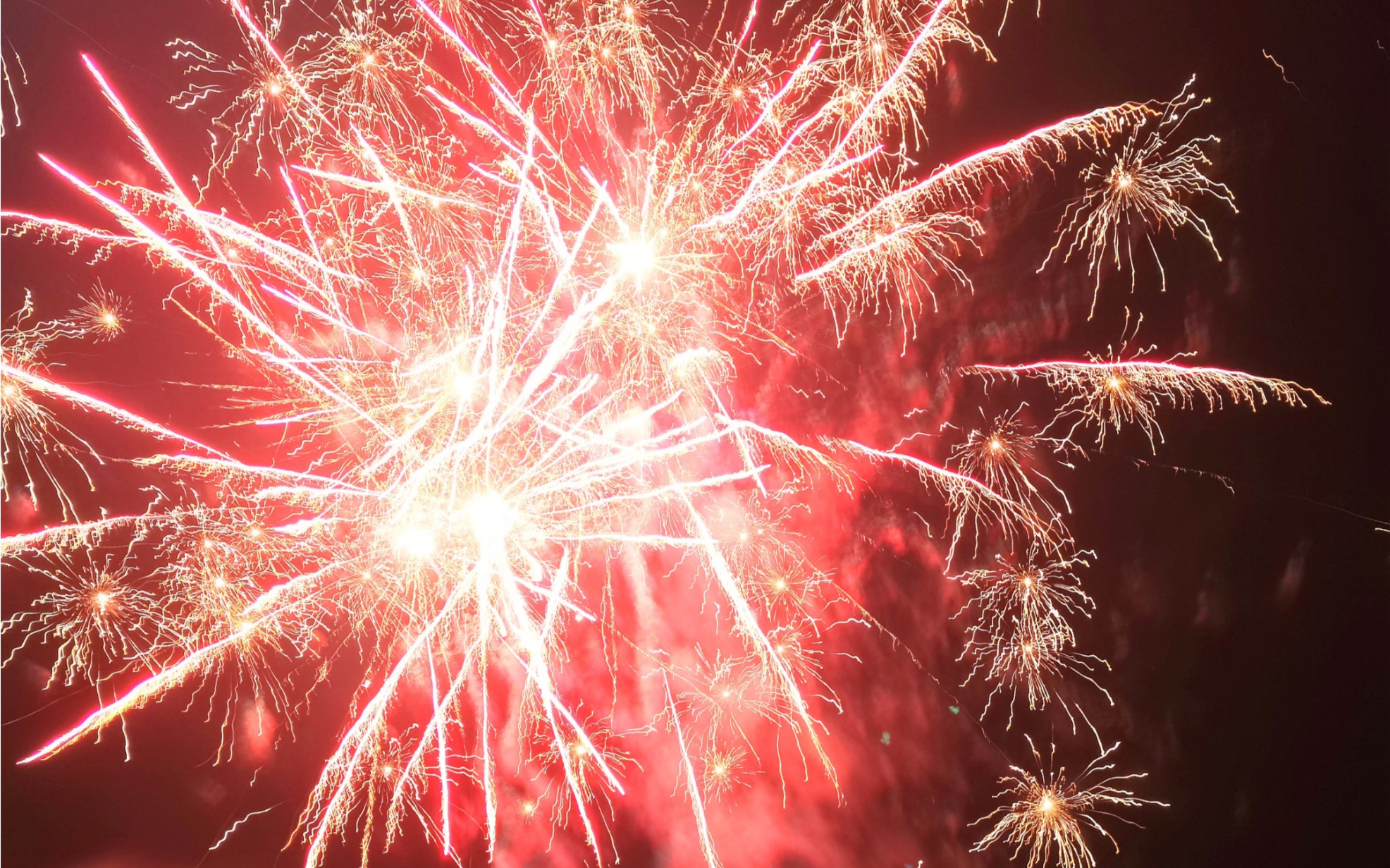 好运来炸烟花来年红红火火.