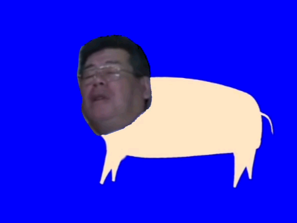 gaba猪_哔哩哔哩_bilibili