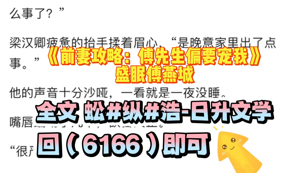 [图]「日升文学」小说《前妻攻略：傅先生偏要宠我》盛眠傅燕城