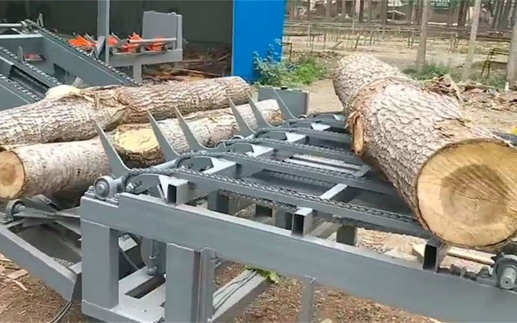 不常见的木材加工过程,木头进去,出来就是木板