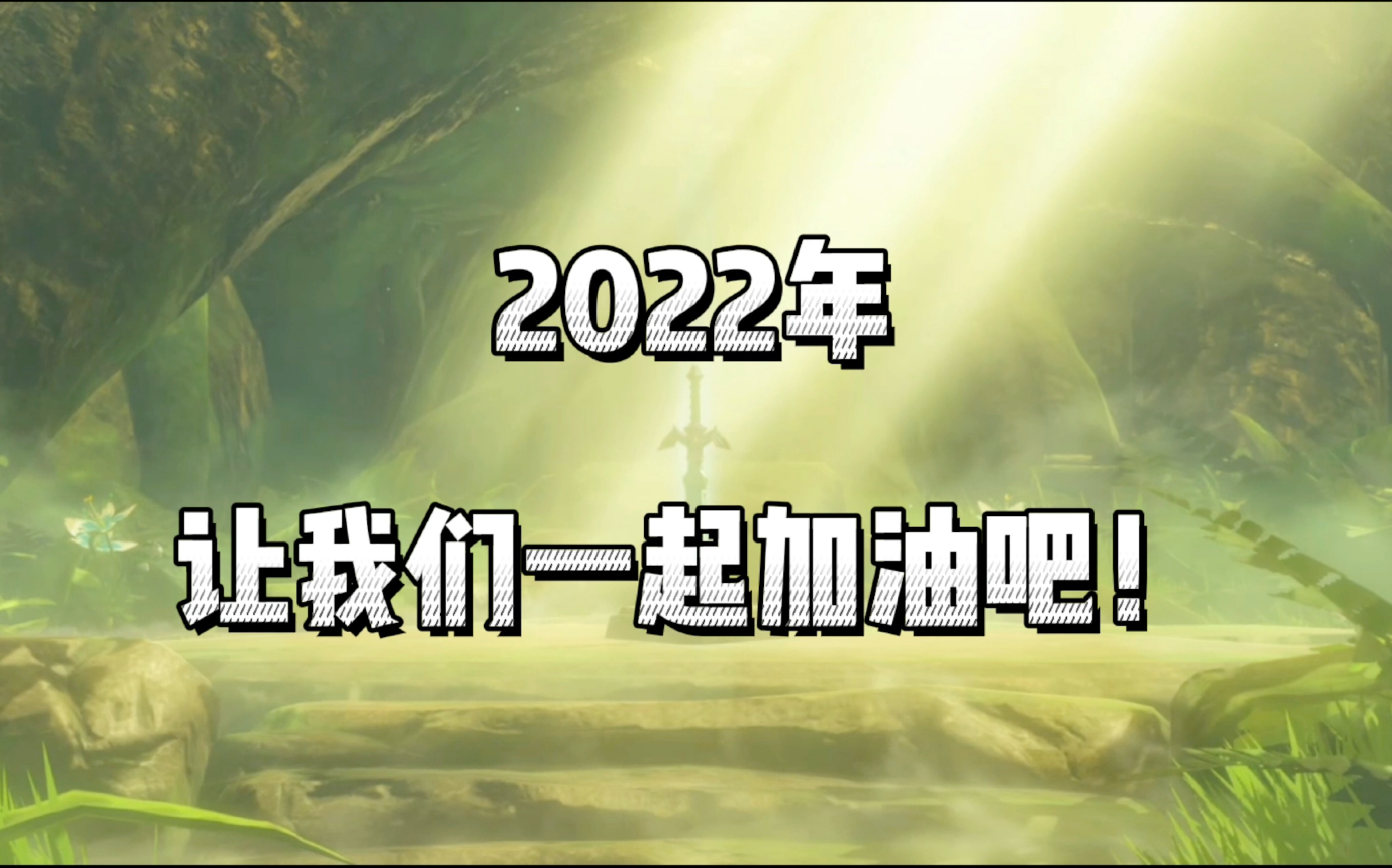 【塞尔达传说】2022年,让我们一起加油吧!