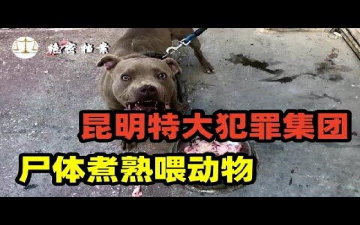 连杀19人尸体煮熟喂动物,2000年昆明杨天勇特大犯罪集团哔哩哔哩bilibili