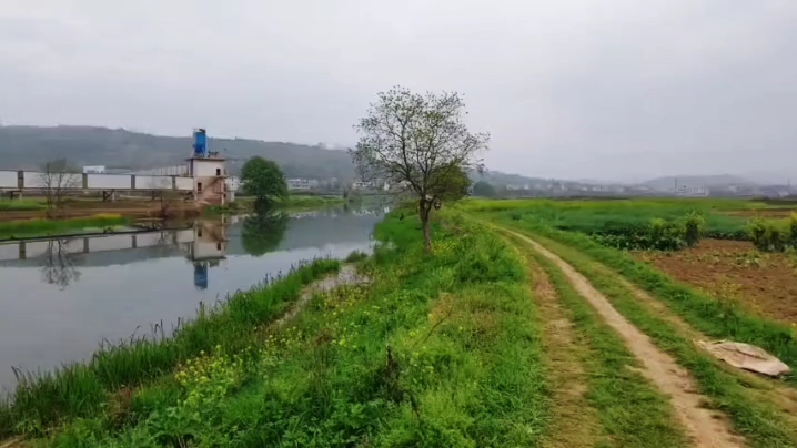 湖南省邵阳县谷洲镇决菜村风景(九)哔哩哔哩bilibili