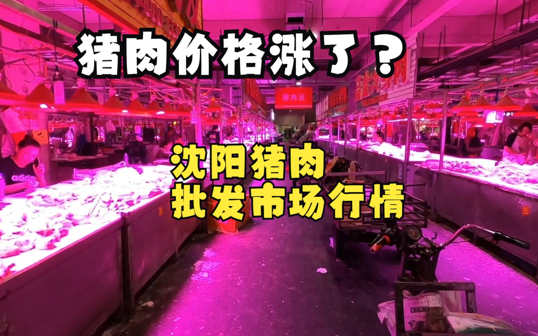 猪肉涨价了?逛沈阳雨润猪肉批发市场,最新的行情让我意外哔哩哔哩bilibili