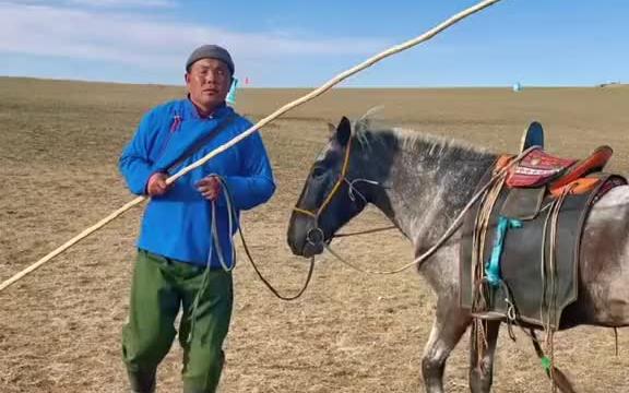 小杆子马脾气不好啊但挺好骑