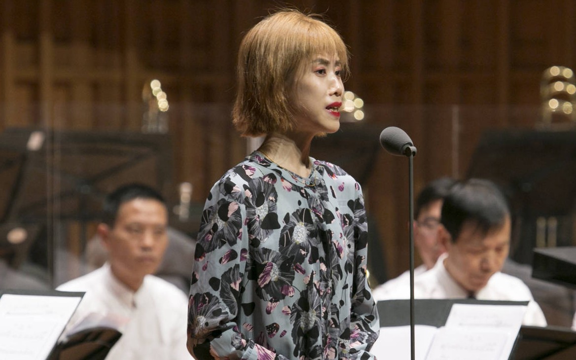 胡晓楠京剧录音空城计我本是卧龙岗散淡的人