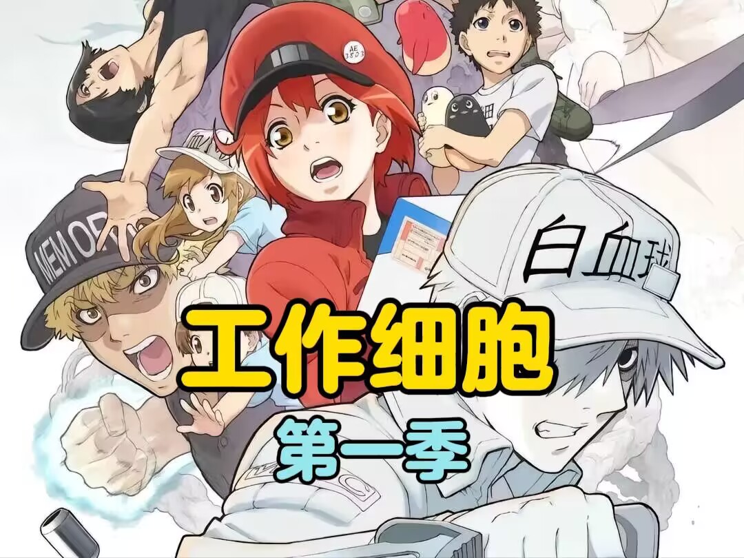 【工作细胞】第一季