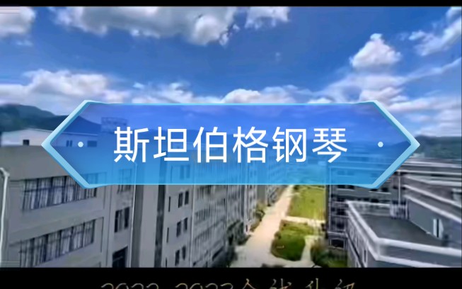 斯坦伯格钢琴:投资30亿元 全球大型钢琴制造德国工业园|斯坦伯格家族|探访星钻联盟:全球认证 德国技师手工生产线|全系列三角钢琴(德国技师三角钢琴生...