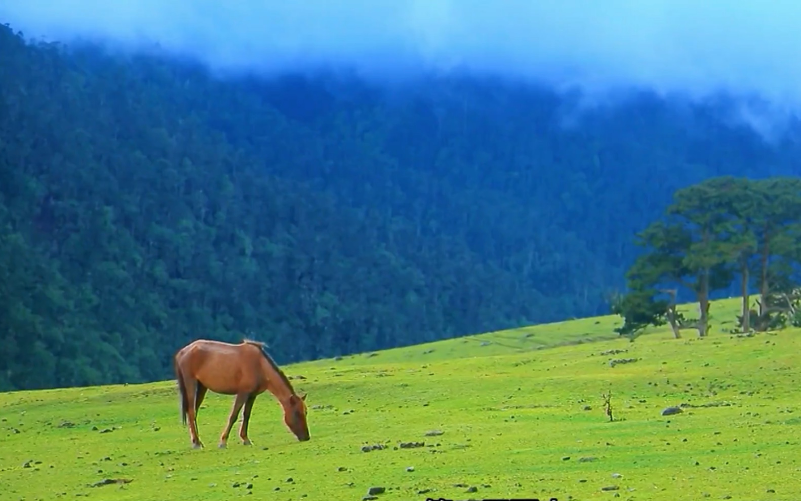 不丹大山深处的村庄风景秀丽,三兄弟和一个女人组建家庭#纪录片