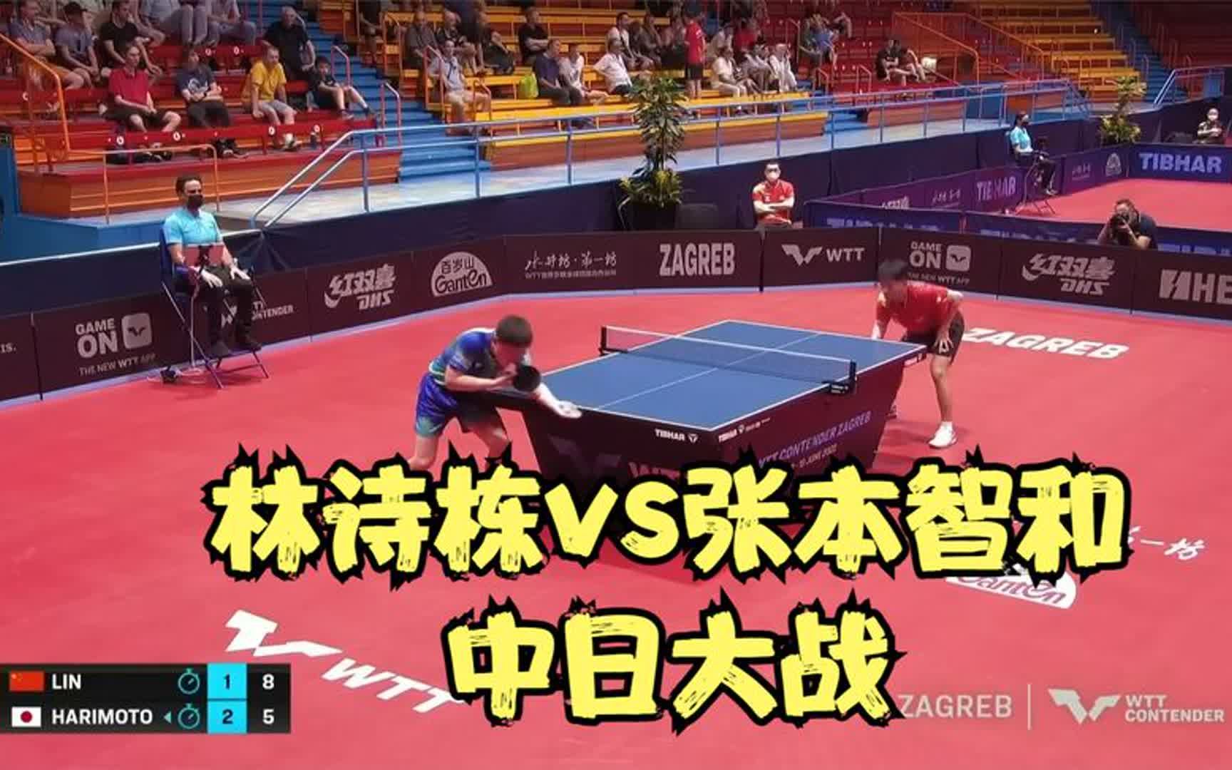 林诗栋vs张本智和!小石头彻底杀疯了,张家小本子看呆了